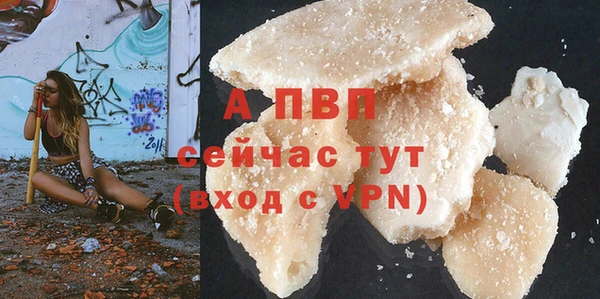 дживик Майский