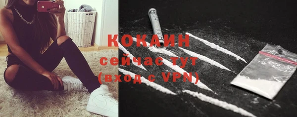 бошки Магас