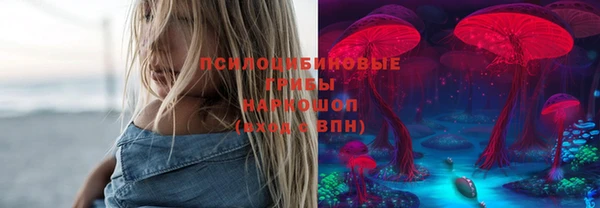 дживик Майский