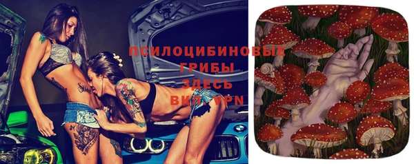 дживик Майский