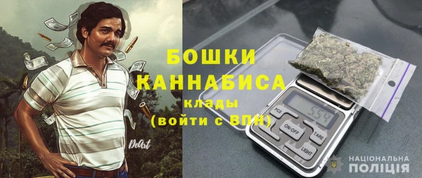 дживик Майский