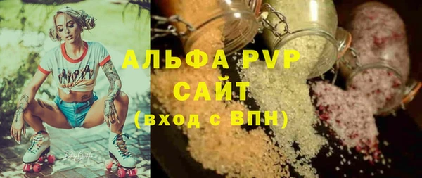 дживик Майский