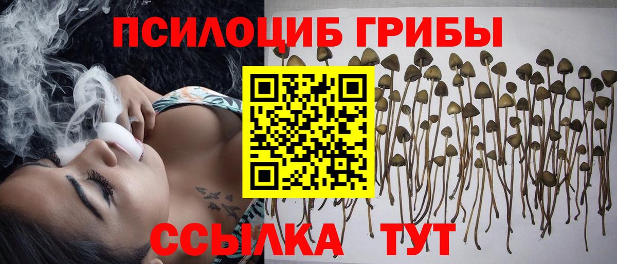 МЕФ Люберцы