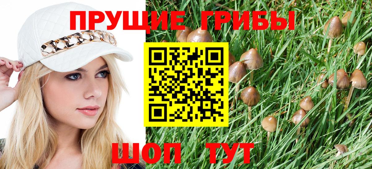 Псилоцибиновые грибы мицелий  Люберцы 